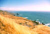 AmberCoastThumb.jpg (8492 bytes)