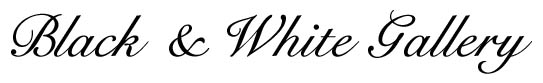 B+WGalleryLogo.jpg (12875 bytes)