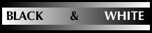 BWBarBlk&Wht.jpg (6322 bytes)