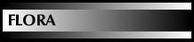BWBarFlora.jpg (5618 bytes)