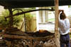 BlacksmithThumb.jpg (10169 bytes)