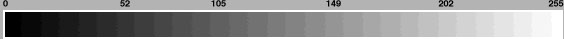 ContrastBar.jpg (3173 bytes)