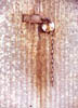 LockThumb.jpg (9295 bytes)
