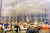 SafeHarborThumb.jpg (9724 bytes)
