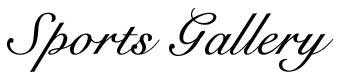 SportsLogo.jpg (8914 bytes)