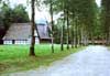 WindmillThumb.jpg (9192 bytes)